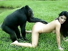 Crazy old bitches fucked by monkey